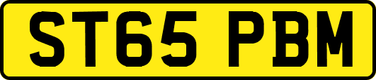 ST65PBM