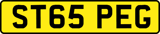 ST65PEG