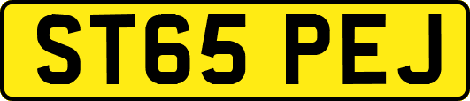 ST65PEJ