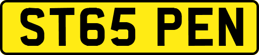 ST65PEN