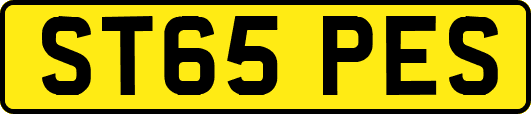 ST65PES