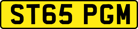 ST65PGM