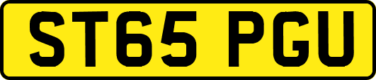 ST65PGU