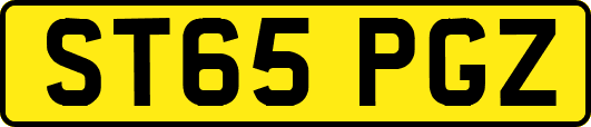 ST65PGZ