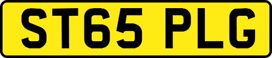 ST65PLG