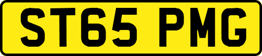 ST65PMG