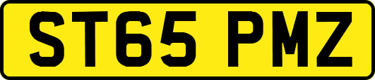 ST65PMZ