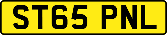 ST65PNL