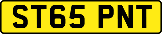 ST65PNT