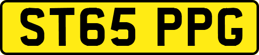 ST65PPG