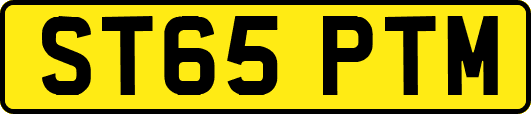 ST65PTM