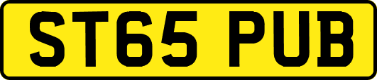 ST65PUB
