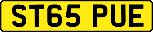 ST65PUE