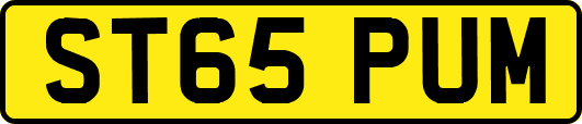 ST65PUM