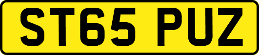 ST65PUZ