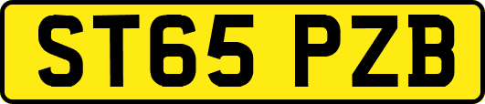 ST65PZB