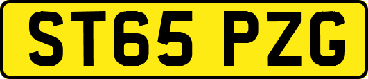 ST65PZG