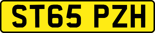 ST65PZH