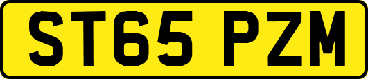 ST65PZM