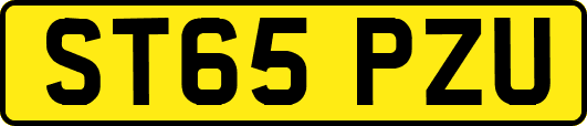 ST65PZU