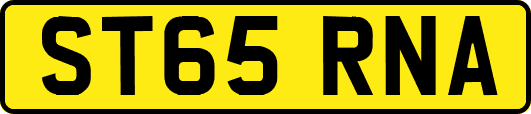 ST65RNA