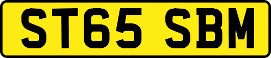 ST65SBM
