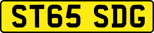ST65SDG