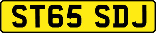 ST65SDJ