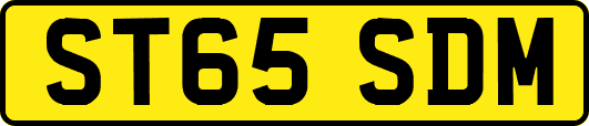 ST65SDM