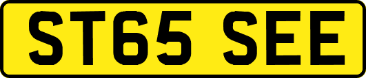 ST65SEE