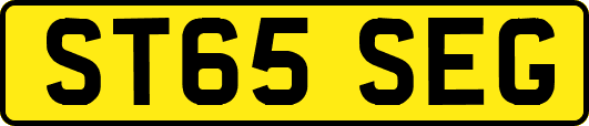 ST65SEG