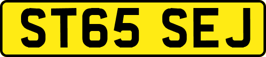 ST65SEJ