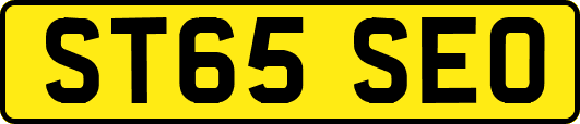 ST65SEO