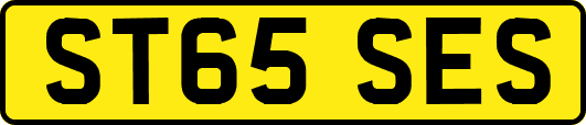 ST65SES