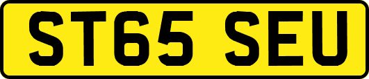 ST65SEU