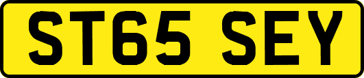 ST65SEY