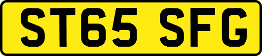 ST65SFG