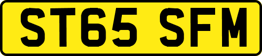 ST65SFM