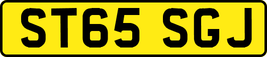 ST65SGJ