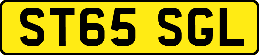 ST65SGL