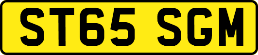 ST65SGM