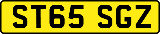 ST65SGZ