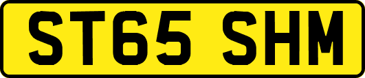 ST65SHM