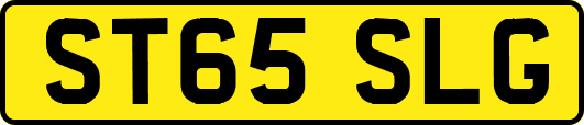 ST65SLG