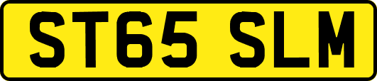 ST65SLM