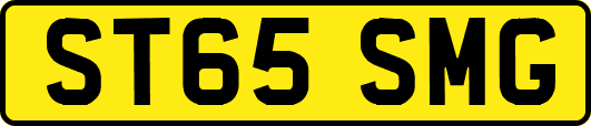 ST65SMG