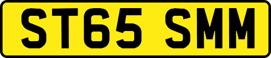ST65SMM