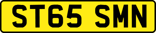 ST65SMN