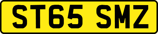 ST65SMZ