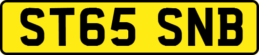 ST65SNB
